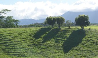 OLOHENA RD, Kapaa, HI 96746