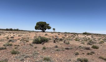 156 N9046, Concho, AZ 85924