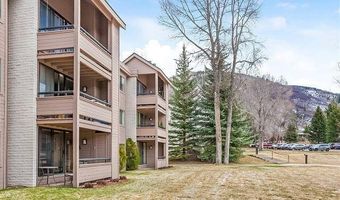 313 VINE St 313, Aspen, CO 81611