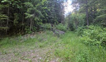 480 Dunn Peak Rd, Avery, ID 83802