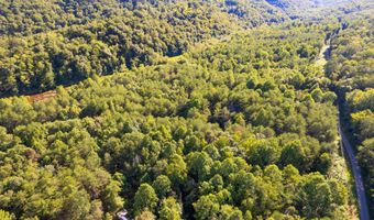 Steve Brown Rd, Bean Station, TN 37708