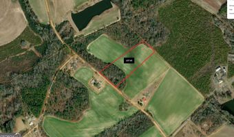 Lot # 3 - 6.2+/- Perry Horton, Adrian, GA 31002