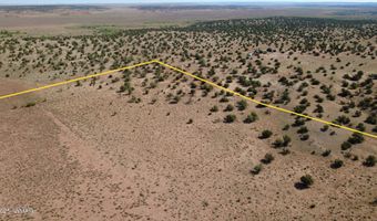 Tbd Wicked Sisters Way 38ac, Concho, AZ 85924