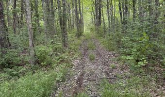 14 Lead Mountain Ln, Belfast, ME 04915