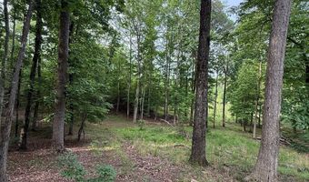 Lot 5 Purvis Road, Baldwin, GA 30511