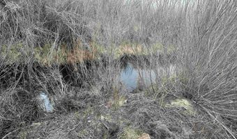 3275 Alcorn Rd, Fallon, NV 89406