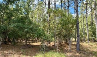 4850 NW 55th Ave, Bell, FL 32619