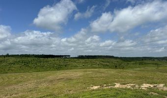 0 Otis Paine Rd, Bethel Springs, TN 38315