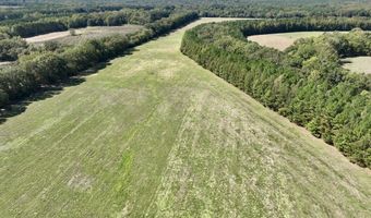 00001 Frank Hall Rd, Bolton, MS 39041