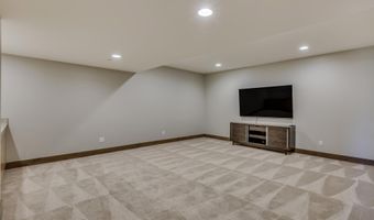 217 Overlook Rdg, Basalt, CO 81621