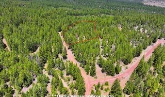 8193 Carlsberg Rd, Alturas, CA 96101