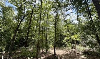 SE Lee Drive, Bogue Chitto, MS 39629