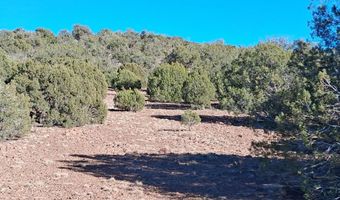 5 N8715, Concho, AZ 85924