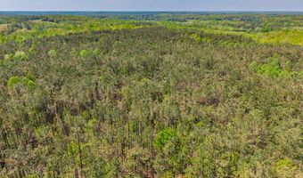 1719 Deer Creek Rd, Batesville, MS 38606