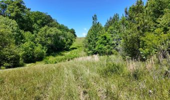 County Road 38, Autaugaville, AL 36003