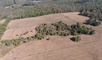 County Road 113, Alton, MO 65606