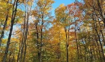 16568 WAGNER Rd, Almira, MI 49650