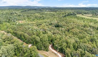 3936 LIBERTY CHAPEL Rd, Appomattox, VA 24522