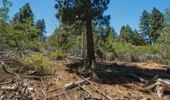 490 Nature's Edge Rd, Gardnerville, NV 89460