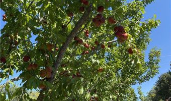 157 Hergenrider Rd, Bridger, MT 59014