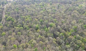 000 S Plainview, Anderson, MO 64831