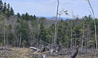 295 Shellstone Rd, Amsterdam, NY 12010