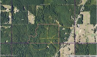 SW Auburn Drive, Bogue Chitto, MS 39629