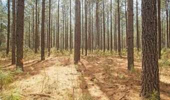 1342 Thomas Hamilton Rd, Brunson, SC 29911