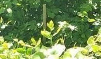 Narragansett Road, Cumberland, RI 02864