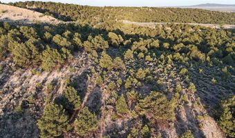 Unk Sandia Canyon Rd, Arroyo Hondo, NM 87513