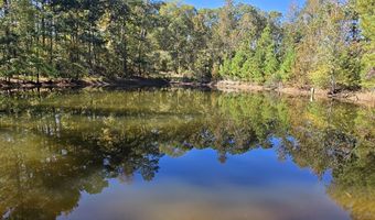 7501 Rainey Morris Rd, Appling, GA 30802