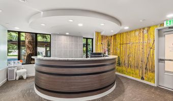 100 E Main St 1, Aspen, CO 81611