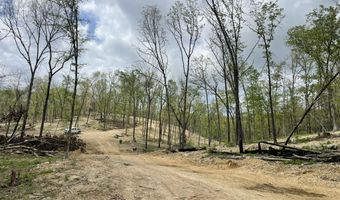 State Hwy N Tract G, Ava, MO 65608