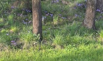 SE 95th Road, Agency, MO 64401