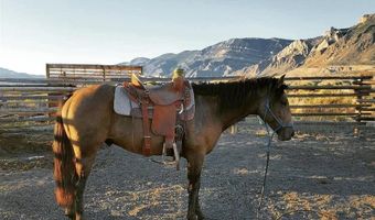 15 Arrowhead Dr, Cody, WY 82414