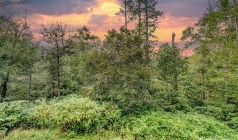 5349 Hickory Nut Gap Rd, Banner Elk, NC 28604