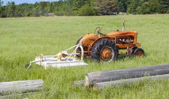 8688 Miller Rd, Alanson, MI 49706