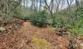 44 Shumate Rd, Black Mountain, NC 28711