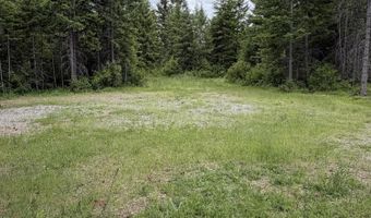 12572 E Parks Rd, Athol, ID 83801