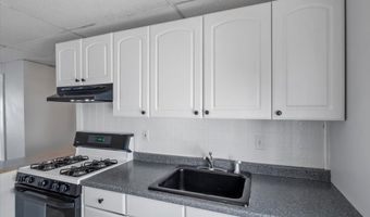 38 Sheffield Rd 3, Boston, MA 02131