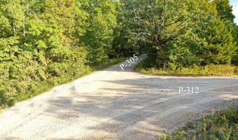 County Road P-305, Ava, MO 65608