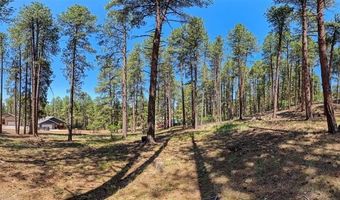79 Spruce Way, Bayfield, CO 81122