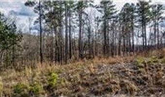 00 LOT 22 Waterside Dr, Abbeville, SC 29620