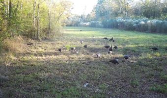 561 Church Rd, Batesburg, SC 29006