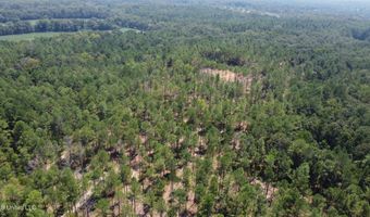1 Champion Hill Rd, Bolton, MS 39041
