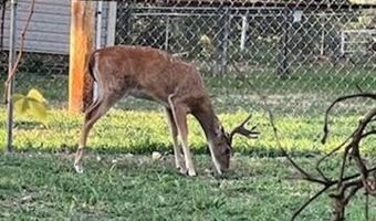 11336 251st St, Beggs, OK 74421