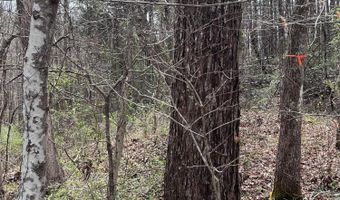 12195 Hwy 587, Beattyville, KY 41311