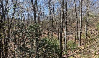 000 Holland Farm Rd, Andrews, NC 28901