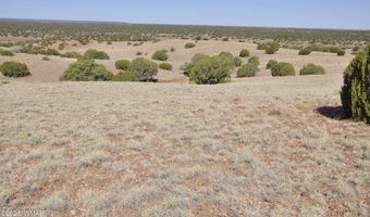 14 CR 5525, Concho, AZ 85924