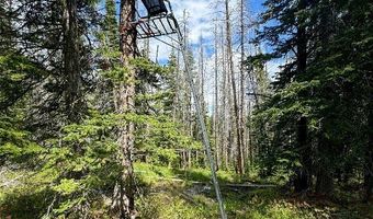 NHN Cataract Creek, Basin, MT 59631